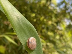 -武清南湖绿博园