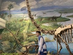 -自贡恐龙博物馆