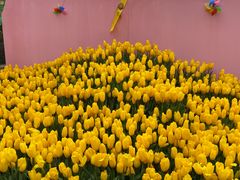 -南山植物园