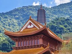 -深圳仙湖植物园