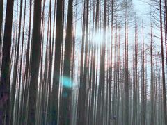 -山王坪喀斯特国家生态公园