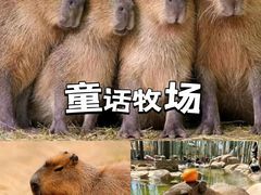 -盈香心动乐园