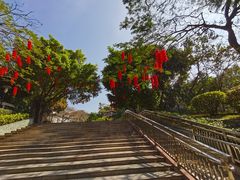 -深圳国际园林花卉博览园