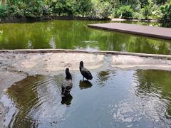 -海南热带野生动植物园