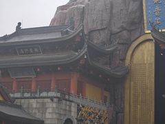 -上海东林寺(金山区)