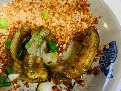 鳝鱼-晓靖轩烧烤(沙河风情店)