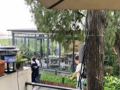 -蘇河湾·新鲁菜·泰山宴(泰山店)
