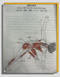 -炼炼有意思·瑜伽·普拉提