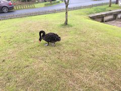 -明珠湖天鹅苑·农家菜馆