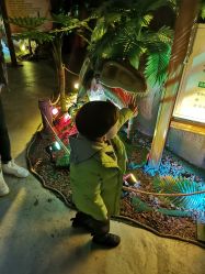 点击看大图 -恐龙探索乐园(磁器口店)