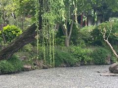 -秋霞圃