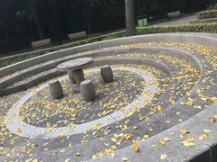 -苏州河梦清园环保主题公园