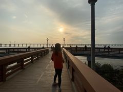 -宝安西湾红树林湿地公园