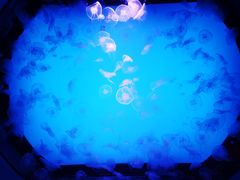 -沈阳海洋探索中心