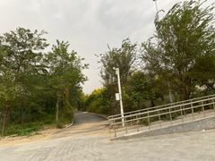 -仙人岛风景区