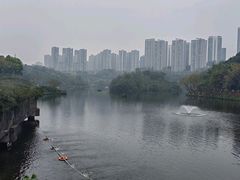 -重庆彩云湖湿地公园