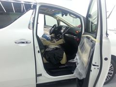 -XPEL（大望路超级旗舰店）(国贸店)