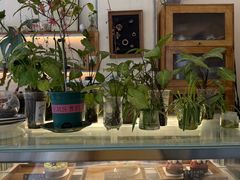 -绿小院(荔湾店)