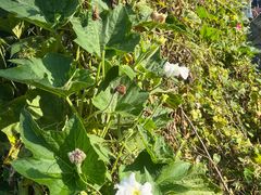 -百里峡七彩艺术小镇