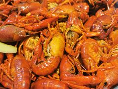 -云晓光头烧烤吧(新大陆广场店)