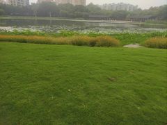 -映月湖公园