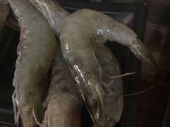 -丽江庭院之丽江往事(安定门店)