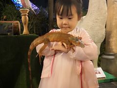 -清迈夜间动物园