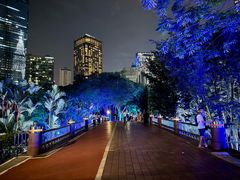 -吉隆坡国油双峰塔
