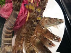 斑节虾-行家海鲜火锅酒家(静安寺店)