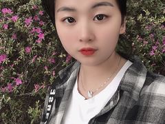 -嘉定紫藤园