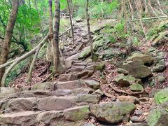 -梧桐山风景名胜区