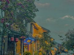 -阿鹏故事云南野生菌火锅(人民路店)