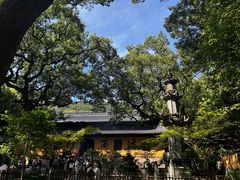 -普陀山风景名胜区-法雨禅寺