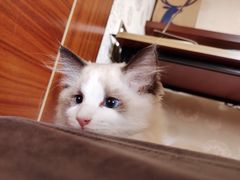 -广九餐室(陈家祠扬韬广场店)