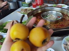-枇杷园食为鲜火锅(南山店)