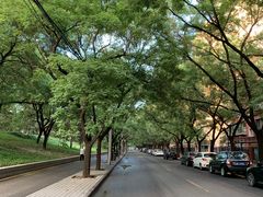 -元大都城垣遗址公园