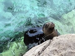 -珠海长隆海洋王国