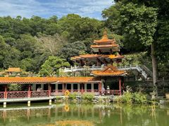 -深圳仙湖植物园