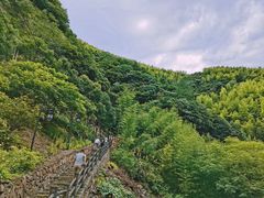 -山沟沟景区