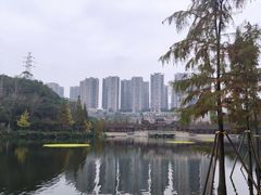 -重庆彩云湖湿地公园