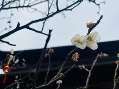 -钱王祠