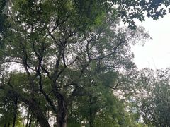 -晓港公园