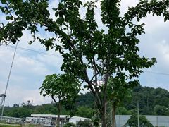 -成都老君山