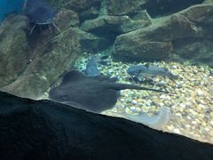 -石家庄海洋公园