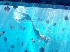 -瑞德姆美人鱼海底演艺主题餐厅(亚龙湾店)
