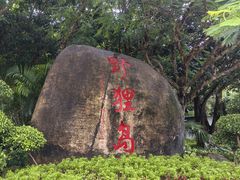-野狸岛