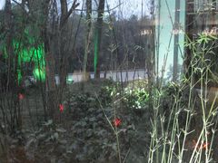 DSC03314-天目湖御水温泉·度假酒店