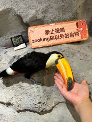 -Zoolung Zoolung动物主题公园(海信广场店)