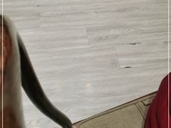 -紫光园·烤鸭·北京菜(劲松店)