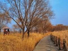 -野鸭湖国家湿地公园
